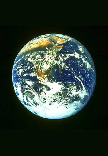 Η ζωή στη Γη στα πρόθυρα της έκτης μαζικής εξαφάνισης