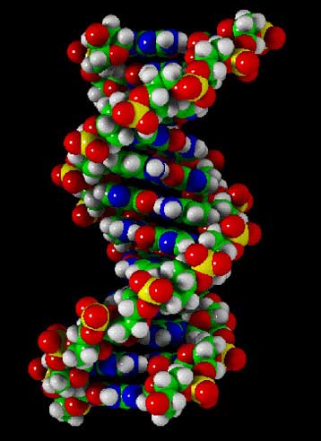 Το «άχρηστο» DNA αποδεικνύεται εξαιρετικά χρήσιμο