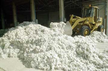 Δεν θα δοθούν εθνικές επιδοτήσεις στους βαμβακοπαραγωγούς, ξεκαθαρίζει η κυβέρνηση