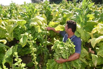 Ορατός ο κίνδυνος απώλειας πόρων του Γ ΚΠΣ  λόγω των καθυστερήσεων στις προκηρύξεις
