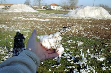 Ακαρπη η συνάντηση Μπασιάκου με τους αγρότες της Πέλλας, για λύση μιλά ο υπουργός