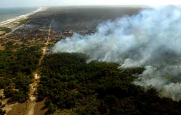 Για τέταρτη ημέρα μαίνονται πυρκαγιές στο Περθ της Αυστραλίας