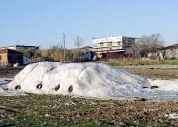 Στο πλευρό των αγροτών τα κόμματα της Αριστεράς – Συζήτηση στη Βουλή ζητά ο ΣΥΝ