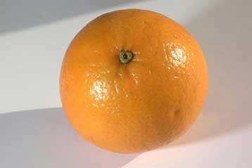 Πλαστικό από πορτοκαλόφλουδα και διοξείδιο του άνθρακα παρασκευάστηκε στις ΗΠΑ