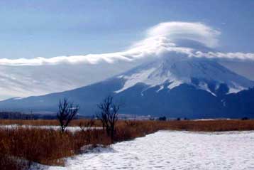 Νέες κρίσιμες περιοχές για τη βιοποικιλότητα του πλανήτη αποκαλύπτουν οι έρευνες