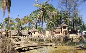 Εννέα επιζώντες της καταστροφής στη ΝΑ Ασία εντοπίστηκαν στην Ινδία