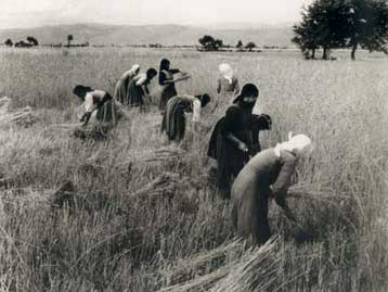 «Η Ελλάδα του Τάκη Τλούπα» στο Μουσείο Μπενάκη της οδού Πειραιώς