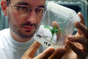 Πολιτικά «μαγειρέματα» καταγέλλονται για περιβαλλοντική υπηρεσία των ΗΠΑ