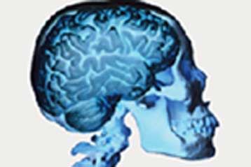 Η μη φυσιολογική εγκεφαλική λειτουργία υπεύθυνη για την ασυνάρτητη σκέψη των σχιζοφρενών