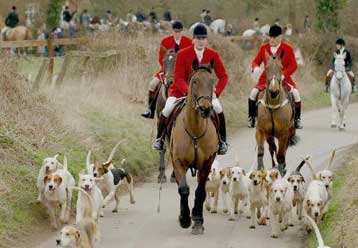 Σε ισχύ τέθηκε η απαγόρευση του κυνηγιού της αλεπούς στη Βρετανία