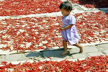 Δεκάδες τρόφιμα στη Βρετανία με καρκινογόνο χρωστική – Έλεγχοι του ΕΦΕΤ στην Ελλάδα