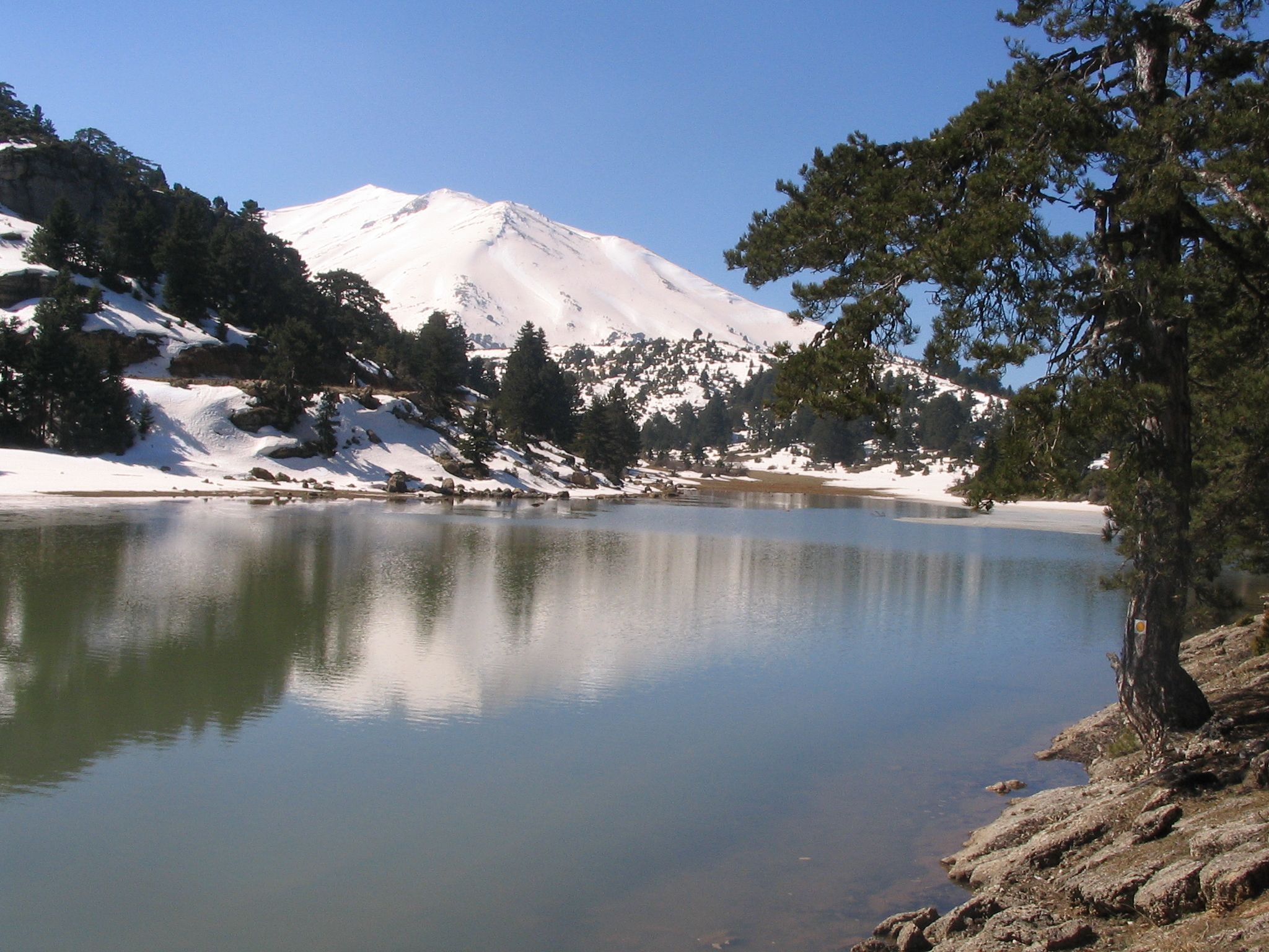 Χιονοδρομικό Κέντρο Ζήρειας, μια παιδική χαρά χιονιού!