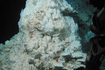 Παράξενα πλάσματα ζουν στη «Χαμένη Πόλη» του Ατλαντικού