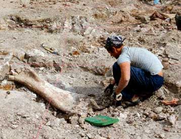 Με καταστροφή κινδυνεύει η «Ακρόπολη της Παλαιοντολογίας» στο Πικέρμι