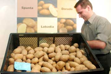 Διπλωματικές προεκτάσεις έλαβε η απόφαση διακοπής εισαγωγών αιγυπτιακής πατάτας