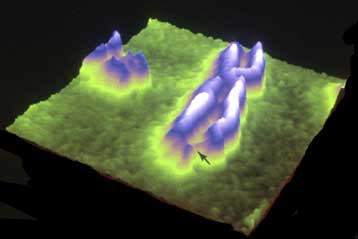 Η αλληλουχία του χρωμοσώματος Χ αποκαλύπτει διαφορές γυναικών-ανδρών