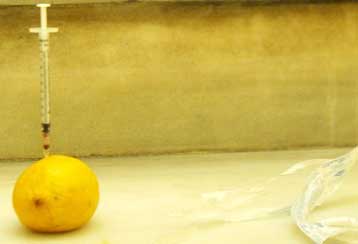 Έως και 2.000 ευρώ το μηνιαίο κόστος στις ιδιωτικές κοινότητες απεξάρτησης