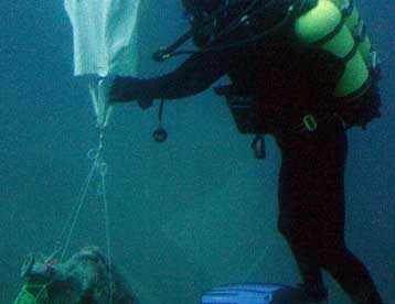 Το βαθύτερο γνωστό ναυάγιο στο Αιγαίο ερεύνησαν Έλληνες επιστήμονες