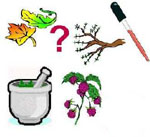 Οι εναλλακτικές θεραπείες είναι επικίνδυνες στην αρθρίτιδα