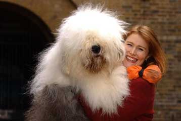 Πολλά ζώα όντως γελούν, υποστηρίζει ερευνητής