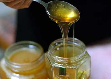 Με καρκινογόνο ουσία πάνω από το όριο το 57,9% του μελιού – Καθησυχάζει το υπουργείο