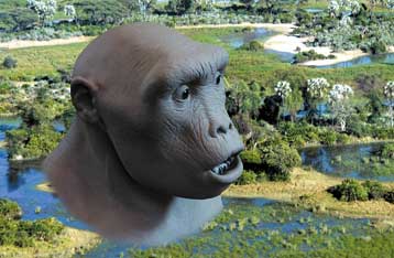 Επιβεβαιώνεται η ανακάλυψη του αρχαιότερου γνωστού «ανθρώπου»