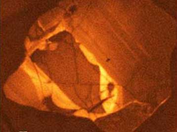 Αμερικανικό πανεπιστήμιο οργανώνει πάρτι για το αρχαιότερο υλικό του κόσμου