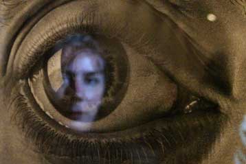 Διάγνωση της Αλτσχάιμερ από το… βλέμμα δοκιμάζουν ερευνητές στη Θεσσαλονίκη