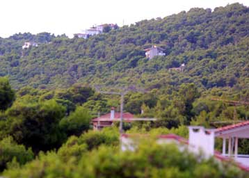 Παγώνει με απόφαση του ΣτΕ ο νόμος για τις δασικές εκτάσεις