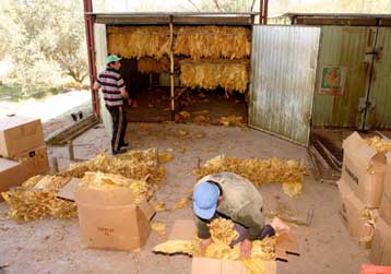 Τοπικά Κέντρα Αγροτικής Ανάπτυξης δημιουργεί η κυβέρνηση