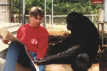 Φιλόδοξο πείραμα επιχειρεί να μετατρέψει πιθήκους σε «ανθρώπους»