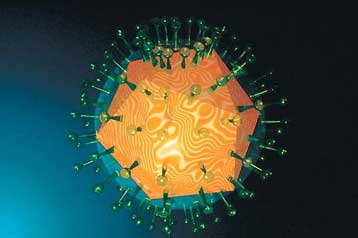 Τζελ μακράς διαρκείας προστατεύει από τον έρπητα των γεννητικών οργάνων