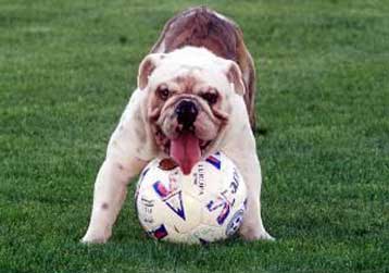 Ραντεβού για όλους την Κυριακή στις 7 μ.μ. στην 28η αγωνιστική της Α εθνικής