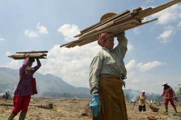 Μετά το τσουνάμι, η Ατσεχ απειλείται από την αποψίλωση