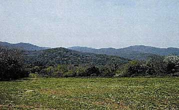 Έσοδα 1,2 δισ. ευρώ αναμένει το οικονομικό επιτελείο από τα καταπατημένα κτήματα