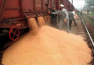 Πεντακόσιοι τόνοι ακατάλληλου σιταριού από τη Ρωσία δεσμεύτηκαν στον Πειραιά