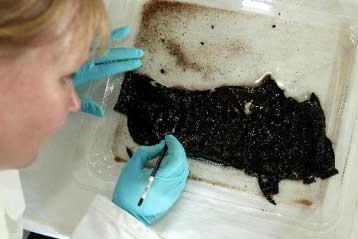 Παπούτσι ηλικίας 2.000 ετών ανακάλυψαν αρχαιολόγοι στη Βρετανία