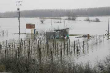Για ολιγωρία της κυβέρνησης στο θέμα των αποζημιώσεων στον Έβρο μιλά το ΠΑΣΟΚ