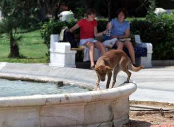 Ζεστός και υγρός ο καιρός σε όλη τη χώρα την Τετάρτη