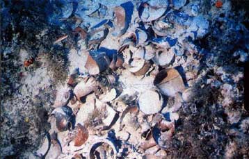 Τριάντα χρόνια παρουσίας συμπληρώνει το Ινστιτούτο Εναλίων Αρχαιολογικών Ερευνών