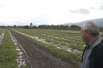 Εκτεταμένες ζημιές σε καλλιέργειες από χαλαζόπτωση στην περιοχή των Τρικάλων