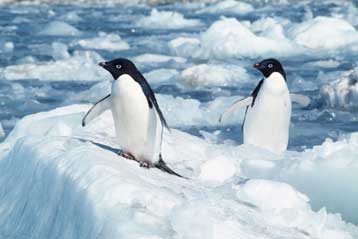 Αυξημένη χιονόπτωση στην Ανταρκτική επιβραδύνει τη διόγκωση των ωκεανών