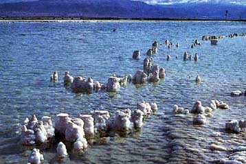 Η σωτηρία της Νεκράς Θάλασσας στόχος τριμερούς συμφωνίας