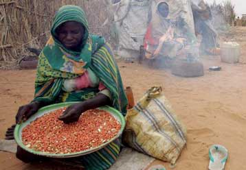 Δεσμεύσεις της Δύσης για περαιτέρω στήριξη της ειρηνευτικής αποστολής στο Νταρφούρ
