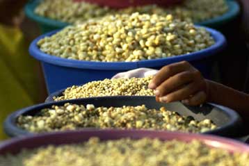 Η κλιματική αλλαγή θα αυξήσει την παγκόσμια πείνα, προβλέπει ο ΟΗΕ