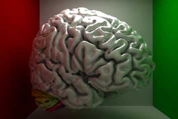 Περιοχή του εγκεφάλου αποκρυπτογραφεί παροιμίες και μεταφορές