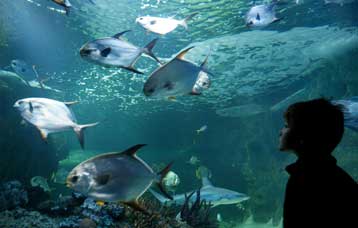 Το μεγαλύτερο ενυδρείο της Μεσογείου εγκαινιάζεται τον Αύγουστο στο Ηράκλειο