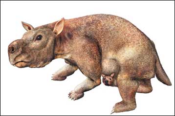 Το κλίμα φαίνεται ότι σκότωσε τα μεγάλα θηλαστικά της Αυστραλίας