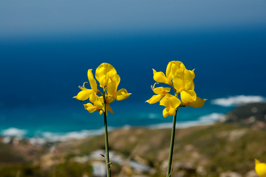 Ικαρία, άνεμος ελευθερίας