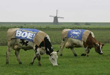 Κάλπες στην Ολλανδία για τη (συμβουλευτική) αποδοχή ή απόρριψη του Ευρωσυντάγματος